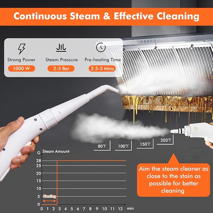 LDAILY Handheld Steam Cleaner 1000W Portable Pressurized Steamer Multipurpose Steam Cleaning Machine for Kitchen Garment Floor Window 300ml (10.2oz) Water Tank 10 Accessories Included Portable