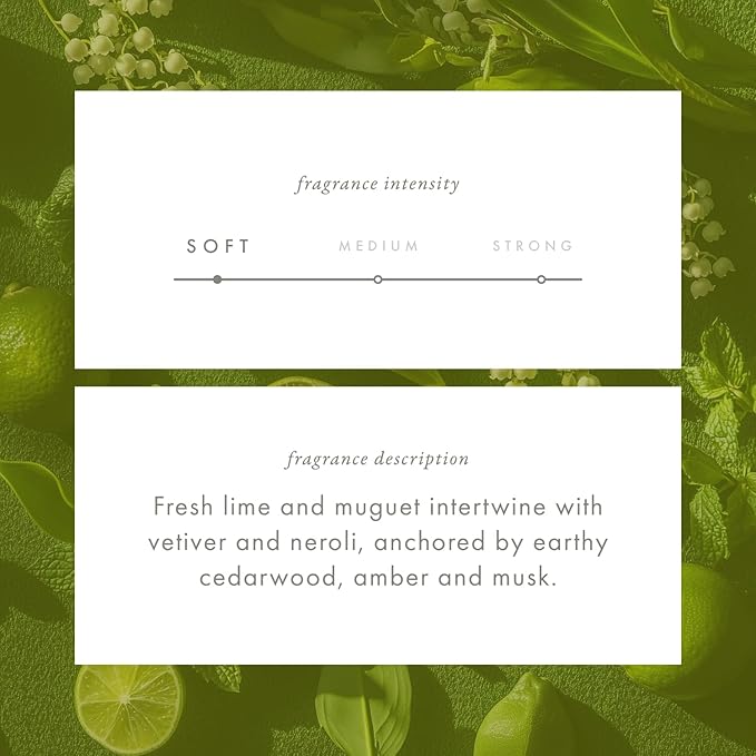 ScentAir Whisper Home Monthly Plug-in Refill Fragrance Cartridge for Home and Office Amazon Exclusive Sparkling Lime &amp Mint