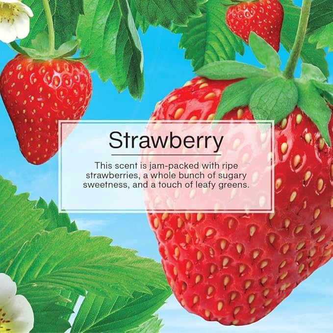 LITTLE TREES Car Air Freshener | Hanging Paper Tree for Home or Car | Strawberry | 24 Pack