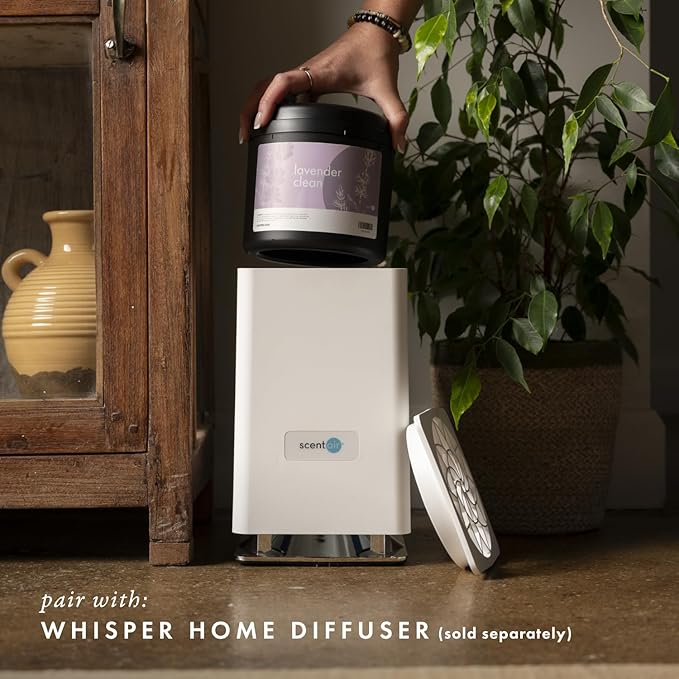 ScentAir Whisper Home Monthly Plug-in Refill Fragrance Cartridge for Home and Office Amazon Exclusive Lavender &amp Ylang