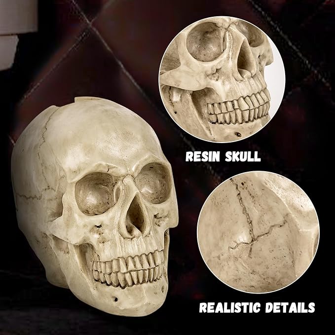 Toilet Brush and Holder Set for BathroomSkullduggery Skeleton Gothic Bathroom Decor Toilet Bowl Brush SetSpace Saving for Storage Drip-Proof Easy to Assemble Deep Cleaning