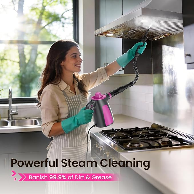 LABIGO Steam Cleaner Pressurized Handheld Multi-Surface Natural Steam Cleaner with 12pcs Accessory &amp Safety Lock Portable Steamer for Cleaning Home Kitchen Bathroom Car Upholstery Grout Wi