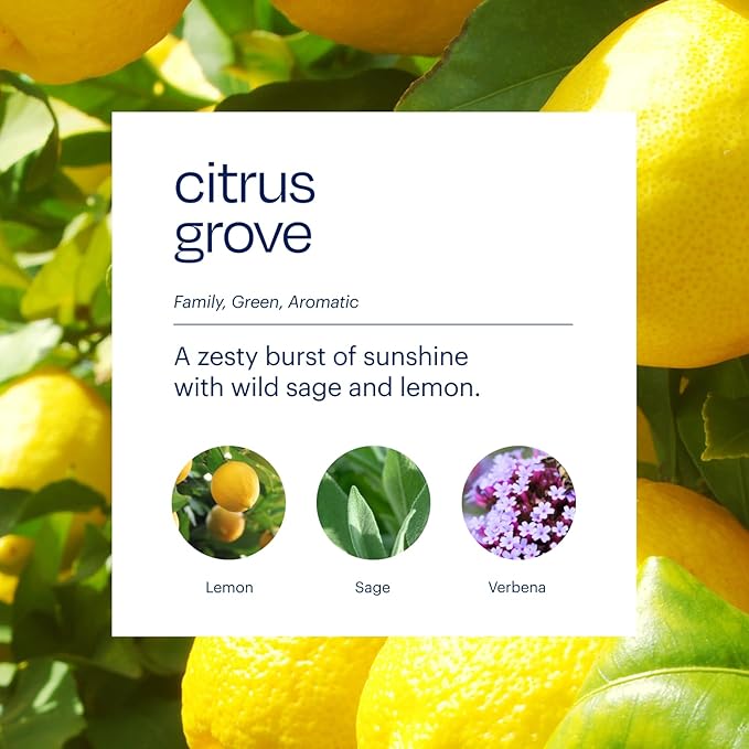 Aera True Loves Citrus Grove - Deodorizing Home Fragrance Scent Refill for Pet Odor - Notes of Wild Sage &amp Lemon - 25mL - For Use With Aera Diffuser (Sold Separately)