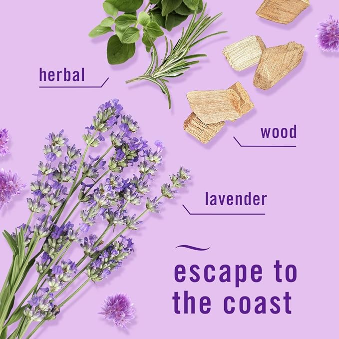 Febreze Plug with Fade Defy Technology Air Freshener - New Limited Edition - (3) of 0.87 fl oz Refills (Lavender)