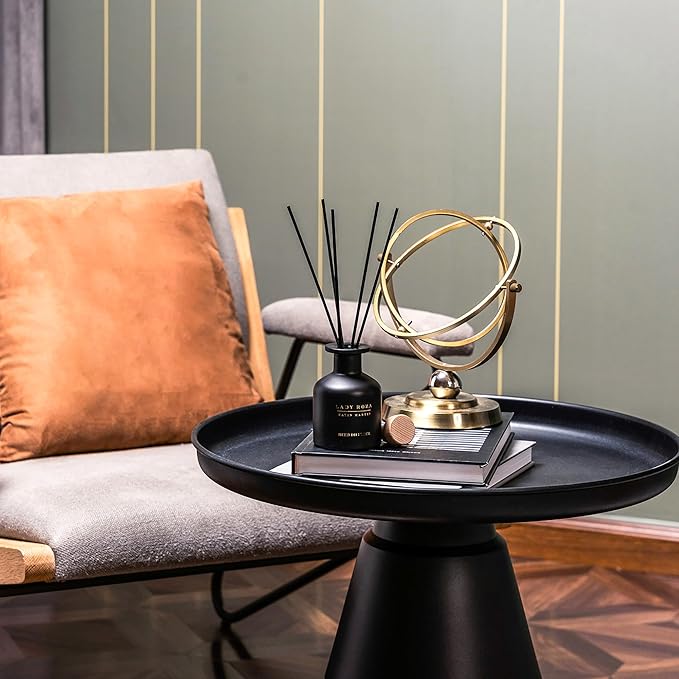 Matin Martin Lady Roza Reed Diffuser 5 oz - Luxury Aromatherapy with Rose &amp Red Fruits - Home Decor Gift for Bedroom Office Living Room Bathroom - Long Lasting Scent with Premium Fragrance Stic