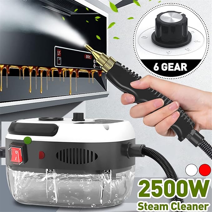 2500W High Pressure High Temperature Portable Handheld Steam Cleaner Household Air Steam Cleaner for Kitchen Furniture Bathroom CarSix Levels Adjustable