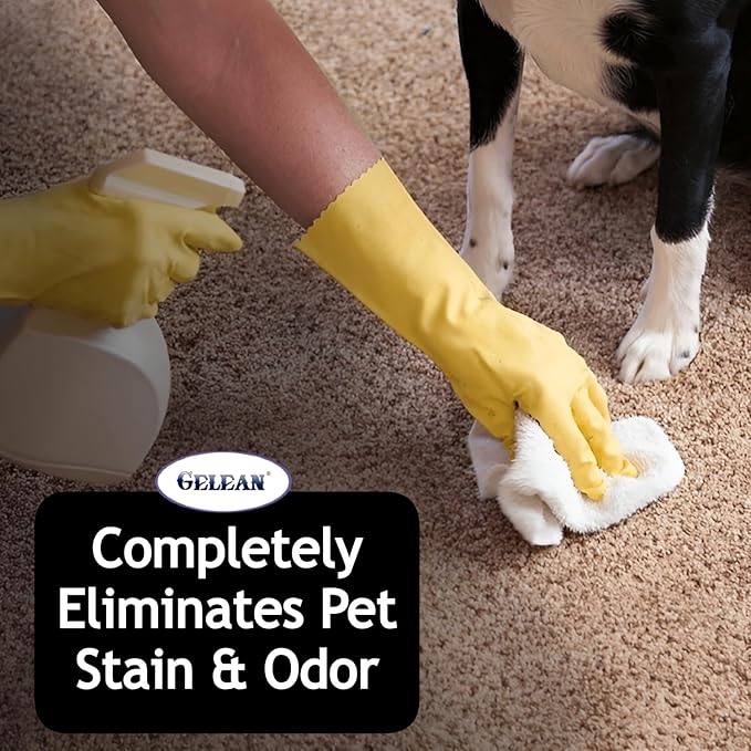 Multi-Purpose Probiotic Enzyme Cleaner Made in USA - Pet Stain and Odor Remover - Concentrated - Professional &amp Home Strength Drains Floors Bathrooms Toilets Trash Can (1 gallon Fresh fragra