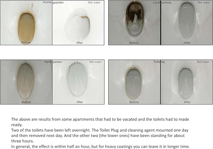 Toilet Plug