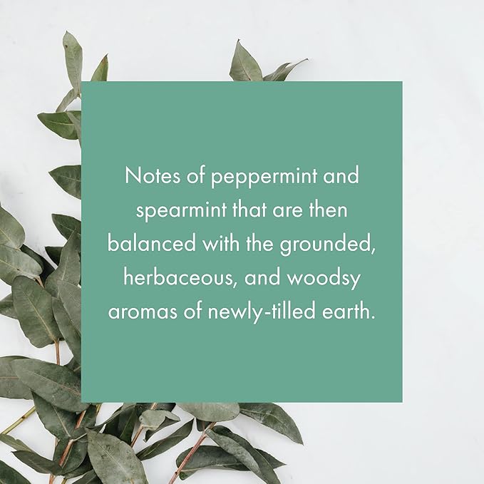 ScentAir Whisper Home Monthly Plug-in Refill Fragrance Cartridge for Home and Office Eucalyptus Mint