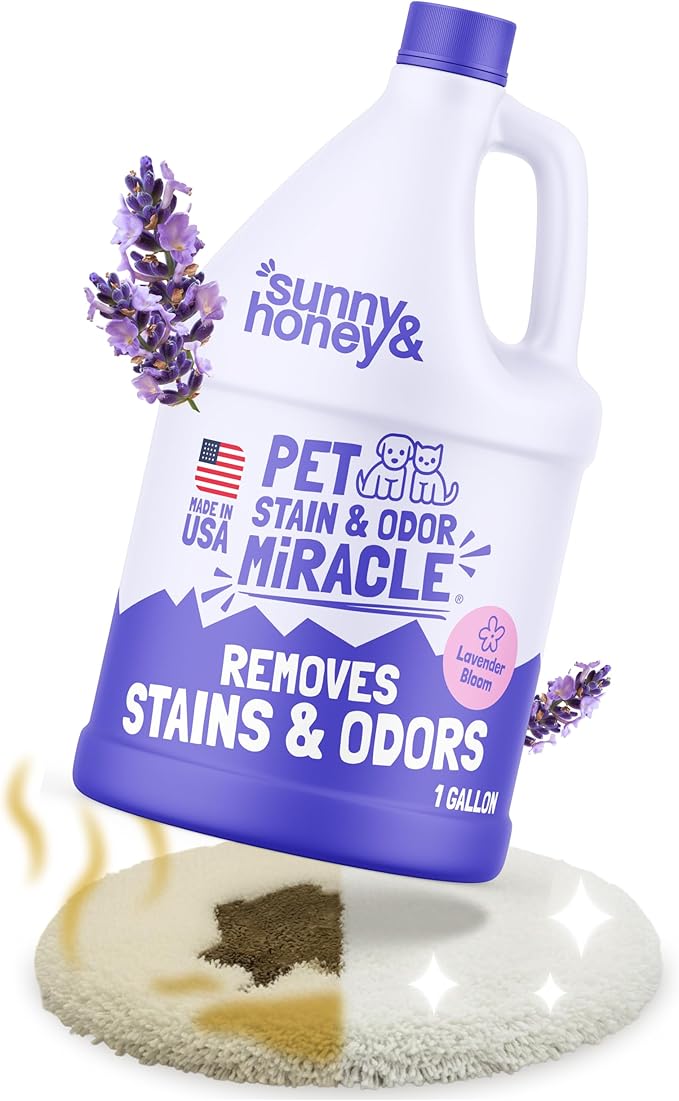 Sunny &amp Honey Pet Stain and Odor Remover - Enzyme Cleaner for Dog Urine and Poop on Carpets and Furniture - Strong Pet Carpet Cleaner Spray (1 Gallon Lavender)