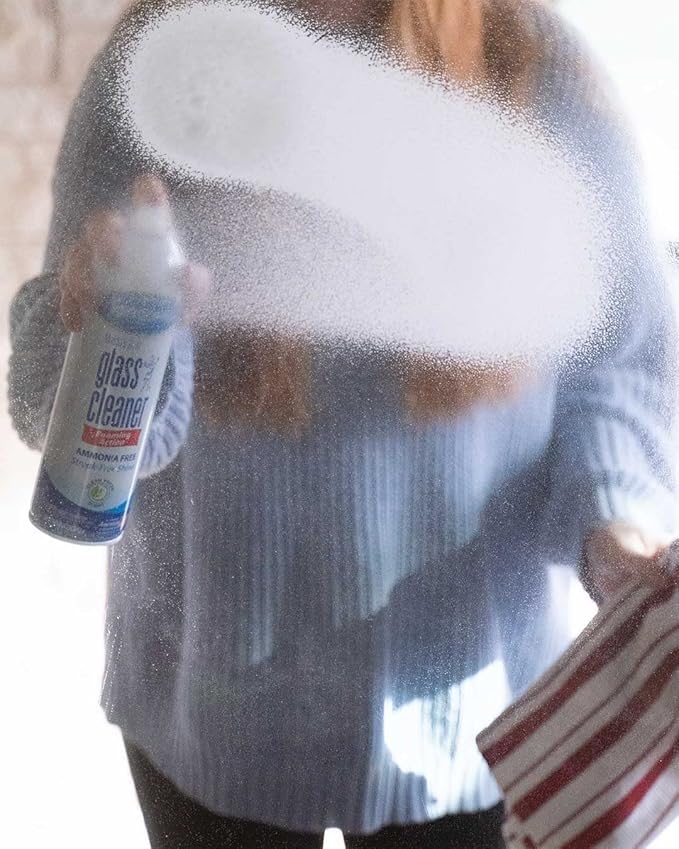 Sprayway Glass Cleaner with Foaming Spray for a Streak-Free Shine for Home and Automotive Use 19 oz. Pack of 12