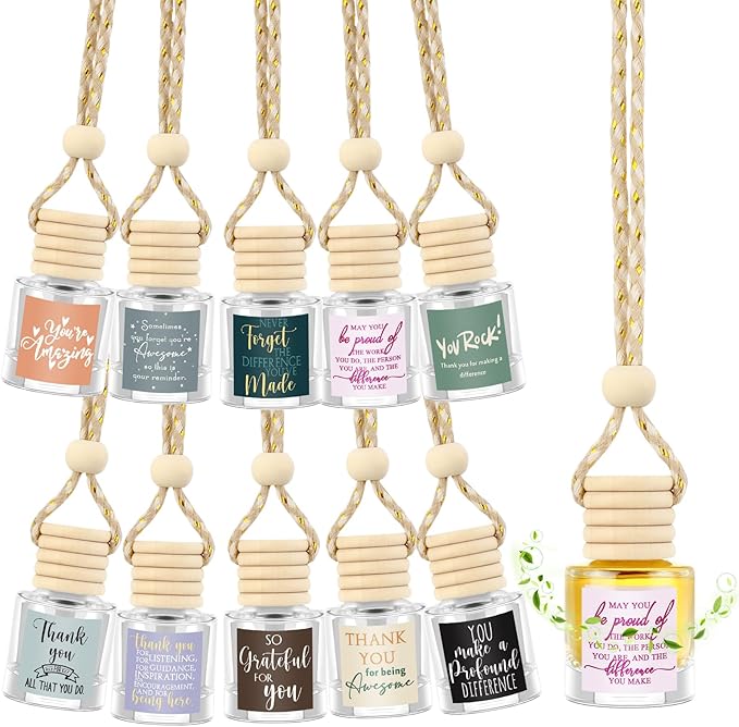 10 Pcs Employee Appreciation Gifts Bulk Empty Glass Car Air Freshener Hanging Diffuser Thank You Gifts for Employee Nurse Staff Dietician Social Worker Volunteer