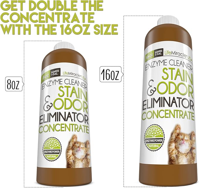 Life Miracle Enzyme Cleaner &amp Pet Odor Eliminator CONCENTRATE | Deep Cleaning Enzymatic Spot Remover for Dog Cat Urine Rug Carpet Upholstery Couch Car Stains &amp Smells | Makes 2 GALLONS
