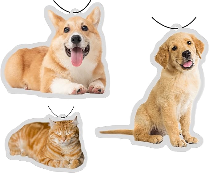 300 PCS Custom Logo Air Freshener Bulk Personalized Car Air Fresheners for Business Branding Real Estate Agents Dealerships and Events