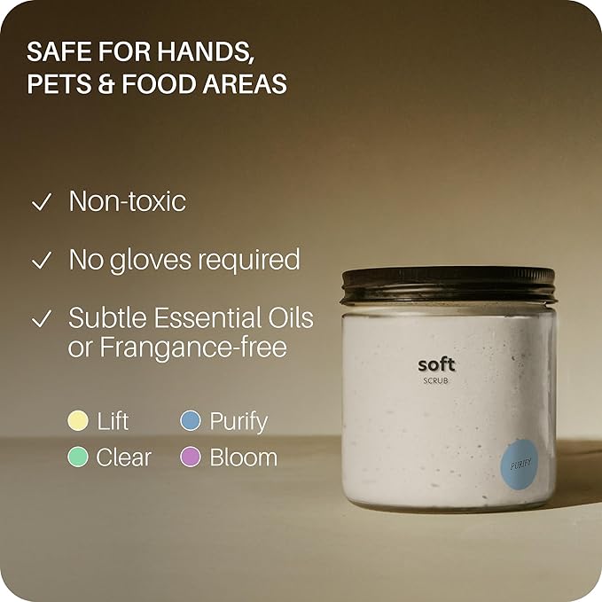 Everneat Soft Scrub Cleaning Power Paste - Glass Purify
