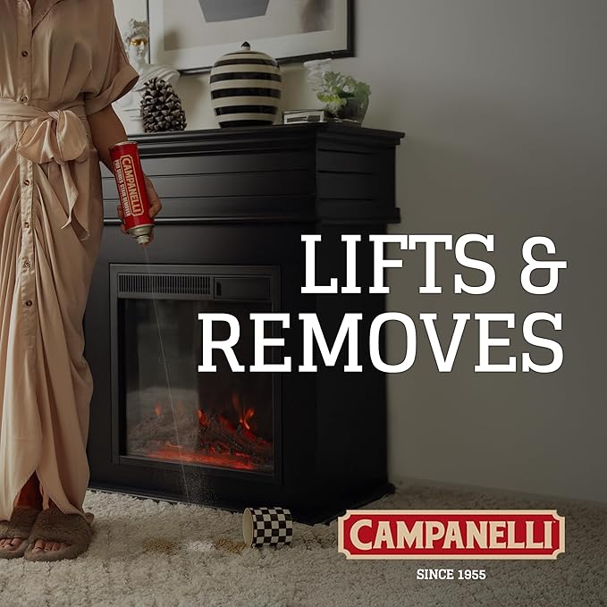 Campanelli Pro Series Stain Remover Point &amp Spray Carpet &amp Upholstery Cleaner for Pet Stains &amp Odors Food Stains Wine Coffee Dirt and More! – 18oz Aerosol