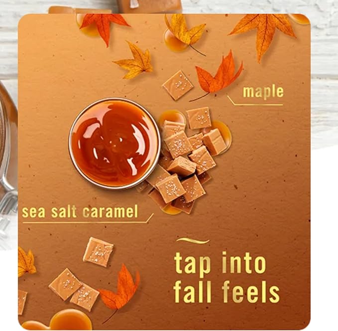 Febreeze Plug In Refills Fall Scents Winter Limited Edition Plug In Refills for Odor-Fighting Fade Defy PLUG Air Freshener 2 pack (Sea Salt Caramel)