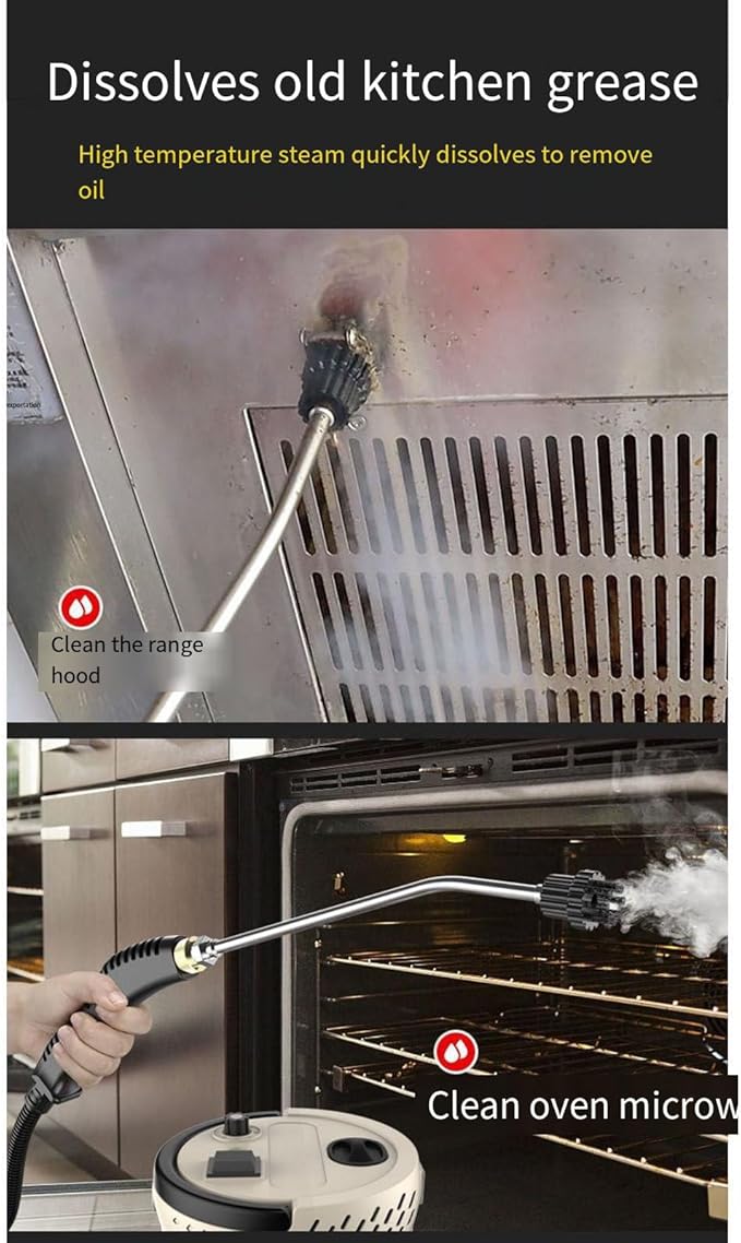 Handheld Steam Cleaner High Temperature Pressurized Steam Cleaning Machine Portable Car Steamer with Brush Heads