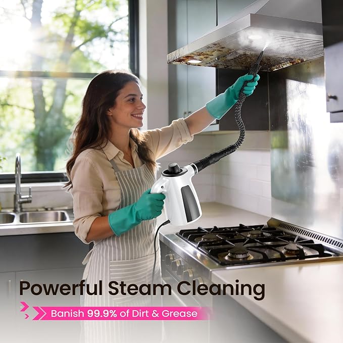 LABIGO Steam Cleaner Pressurized Handheld Multi-Surface Natural Steam Cleaner with 12pcs Accessory &amp Safety Lock Portable Steamer for Cleaning Home Kitchen Bathroom Car Upholstery Grout Wi
