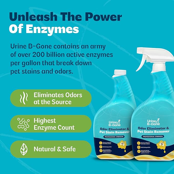 Urine B-Gone Professional Enzyme Odor Eliminator &amp Pet Stain Remover Human Cat &amp Dog Urine Cleaner Effective on Laundry Carpets &amp More Original Scent 32oz Pack of Two