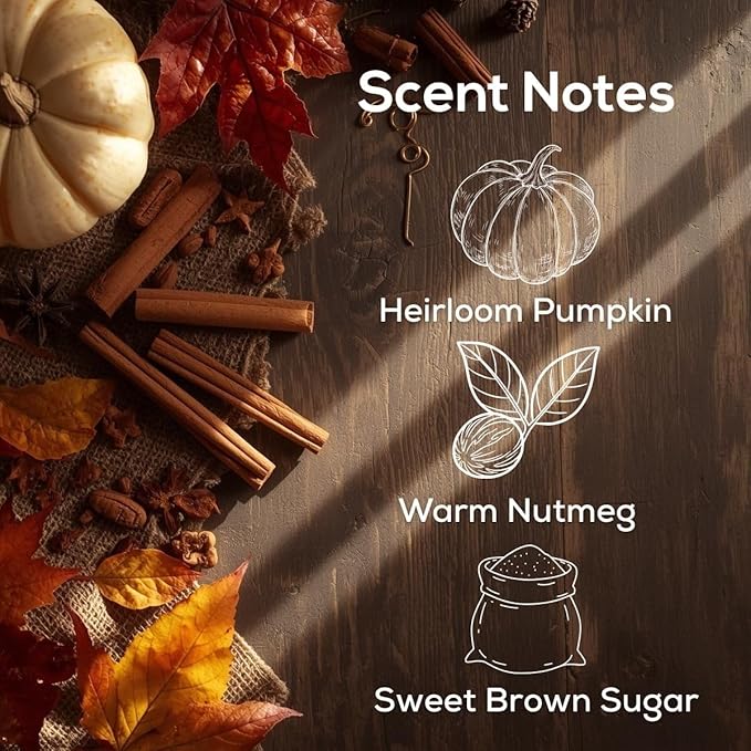 Scent Fill Sweet &amp Spicy Cinnamon Nutmeg Plug in Air Freshener 4 Scented Oil Refills