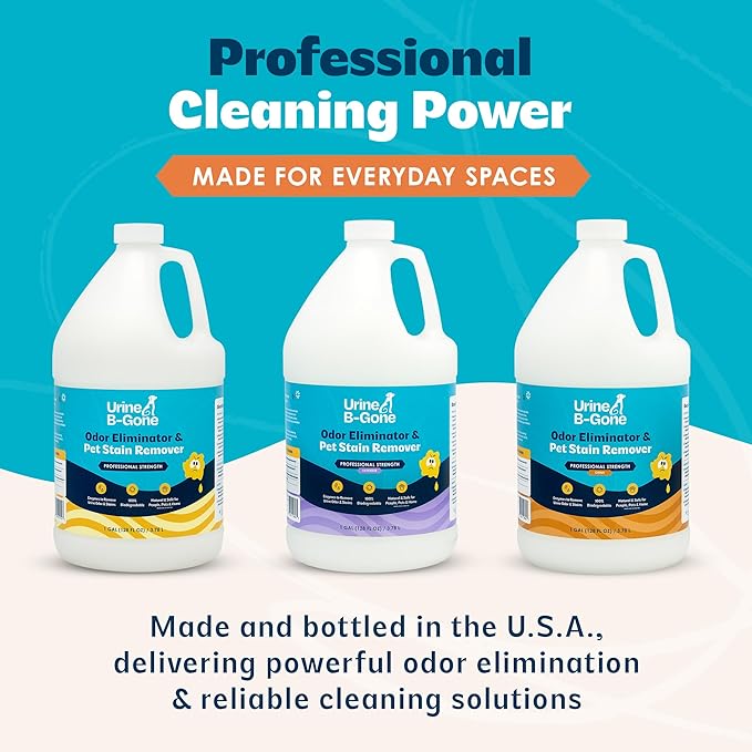 Urine B-Gone Professional Enzyme Odor Eliminator &amp Pet Stain Remover Human Cat &amp Dog Urine Cleaner Effective on Laundry Carpets &amp More Citrus Scent 1 Gallon