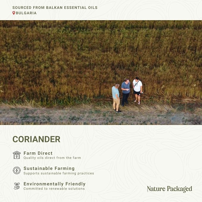 Coriander Essential Oil - Direct from Bulgarian Balkan Mountains - Steam Distilled - Aceite Cilantro for Aromatherapy Massage Diffuser DIY Candle and Soap Making - 2lbs