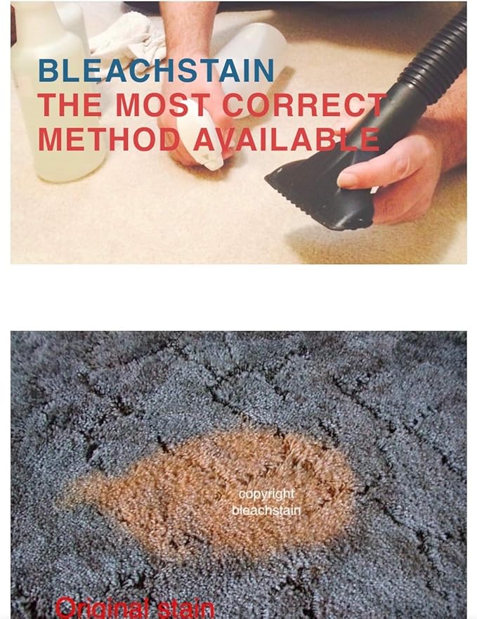 BLEACHSTAIN® Homeowner’s Carpet Spot Dye Kit™ | Restores Carpet Color | Repair Discoloration from Bleach Stains Acne medications or Chemical Marks and Spots