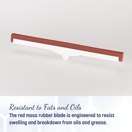SPARTA Flo-Pac Moss Foam Floor Squeegee Window Squeegee with Plastic Frame for Floor Bathroom Kitchen Concrete Tile Garage Commercial Use 18 Inches Red (Pack of 10)
