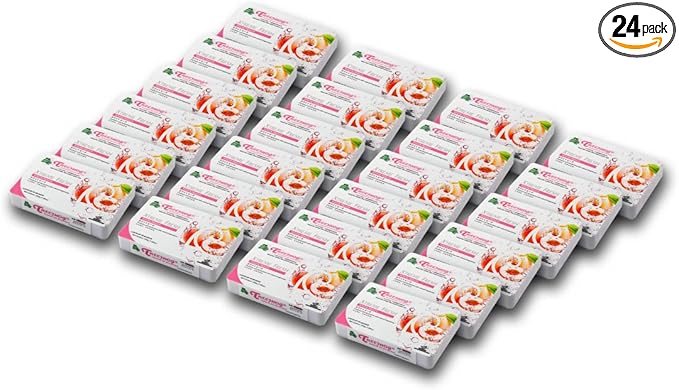 Auto Dynasty TreeFrog Xtreme Fresh Under-The-Car Natural Air Freshener White Peach Scented Pack of 24