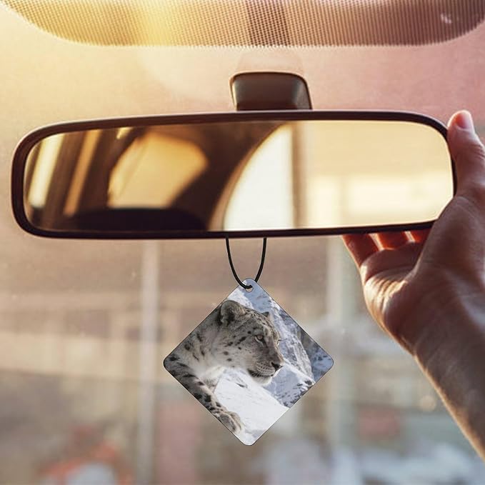 5PCS Car Air Freshener Hanging Personalized Double Sided Snow Mountains Car Fresheners Long Lasting New Cars Scents Cute Automotive Freshies for Closets Drawers (tea)