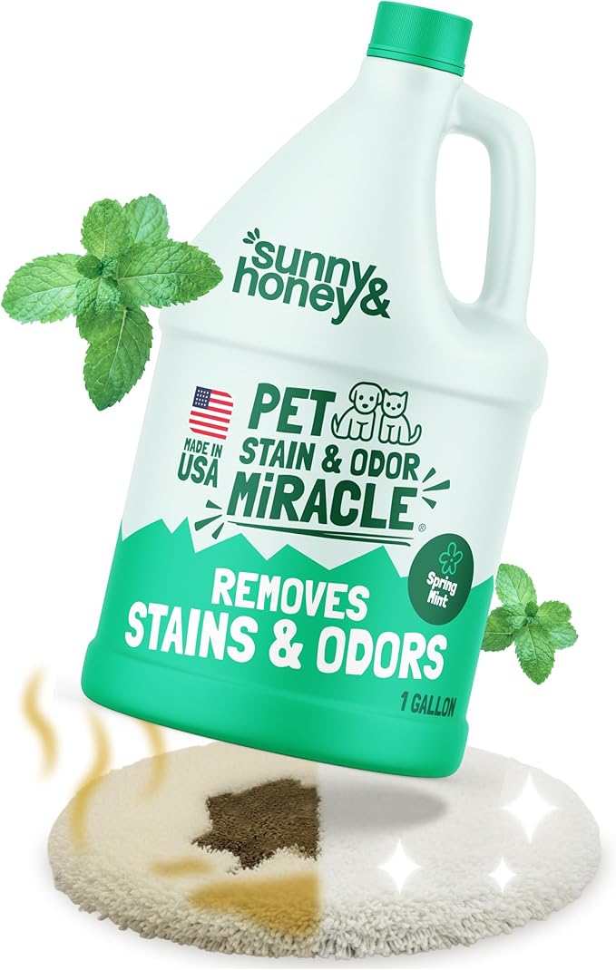 Sunny &amp Honey Pet Stain and Odor Remover - Enzyme Cleaner for Dog Urine and Poop on Carpets and Furniture - Strong Pet Carpet Cleaner Spray (1 Gallon Mint)