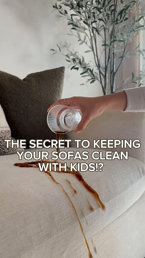 Fabric Protector and Stain Resistant Spray - Upholstery Fabric Spray for Stain Guard for Carpet Shoes Couch Sofa - Non Toxic Water Based Furniture Protector - 25.4 Fl. Oz.