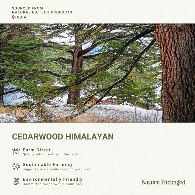 Cedarwood Himalayan Essential Oil - 100% Pure Steam Distilled Natural Cedarwood Himalayan Oil (Aceite de Cedro) from Natural Biotech NBT India for Aromatherapy &amp DIY Projects - 8oz