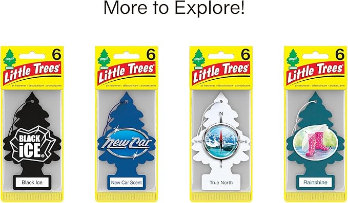 LITTLE TREES Air Fresheners Car Air Freshener. Hanging Tree Provides Long Lasting Scent for Auto or Home. Royal Pine 24 Air Fresheners (Pack of 6)