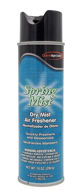 Spring Mist Dry Air Freshener 20 oz. can 1 Count