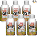 Champion Sprayon ValueScents Metered Air Freshener Refill 7 oz Odor Control Fragrance Citrus (6 Pack)