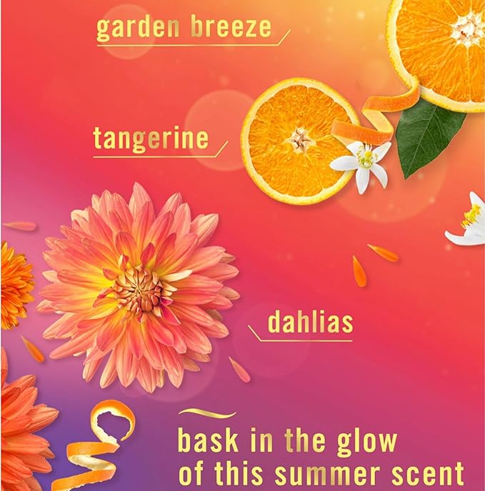 Febreeze Fall Winter Limited Edition Plug in Holiday Season Scented Refills 3 pack (Summer Nights)
