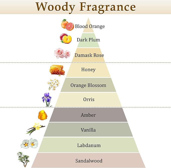 XEPTLE Amber Reed Diffuser for Home Air Freshener Woody Scent Diffuser with 5 Reeds for Bedroom Living Room Bathroom Décor Orange Plum Rose with Honey Amber Vanilla &amp Sandalwood 7.04oz Black