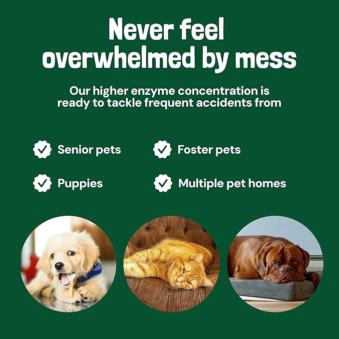 Sunny &amp Honey Turbo Pet Stain and Odor Remover - 40% More Enzymes - Enzyme Cleaner for Dog Urine and Poop on Carpets and Furniture - Pet Carpet Cleaner Spray (32fl oz Mint)