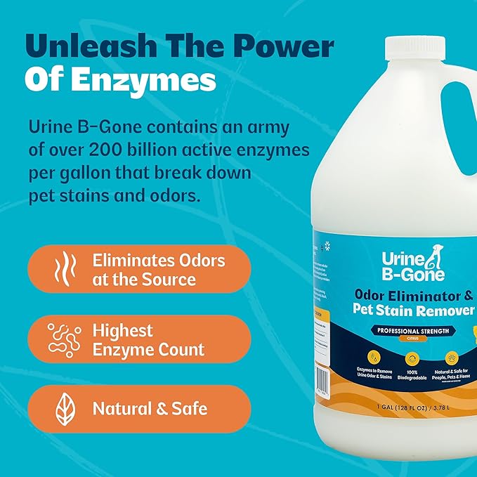 Urine B-Gone Professional Enzyme Odor Eliminator &amp Pet Stain Remover Human Cat &amp Dog Urine Cleaner Effective on Laundry Carpets &amp More Citrus Scent 1 Gallon