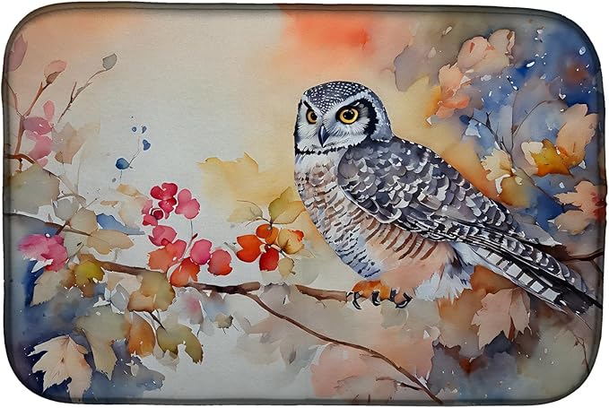 Caroline's Treasures DAC3244DDM Northern Hawk Owl Dish Drying Mat Absorbent Dish Drying Mat Pad for Kitchen Counter Dish Drainer Mat for Countertop 14 x 21 Multicolor