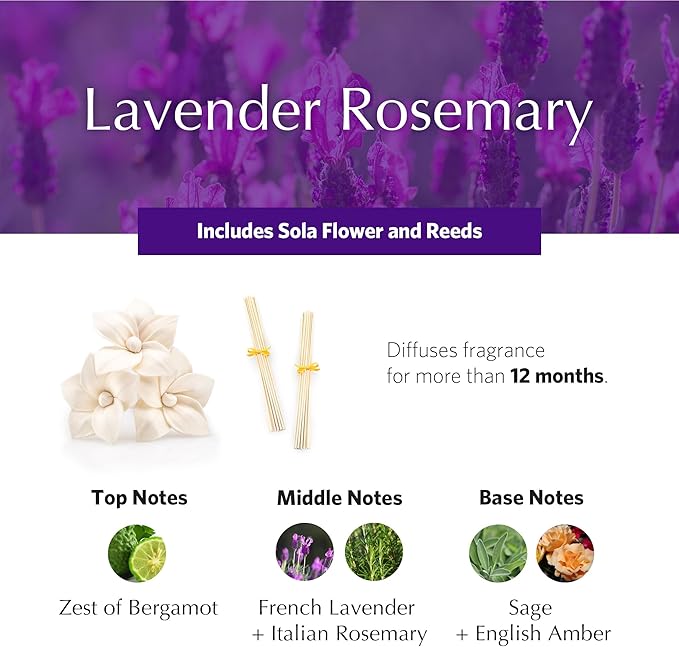 AGRARIA AirEssence Flower and Reed Diffuser Set Handmade Sola Flower Botanical Home Fragrance Set Scented Oil Reed Diffuser Gift for All Occasions