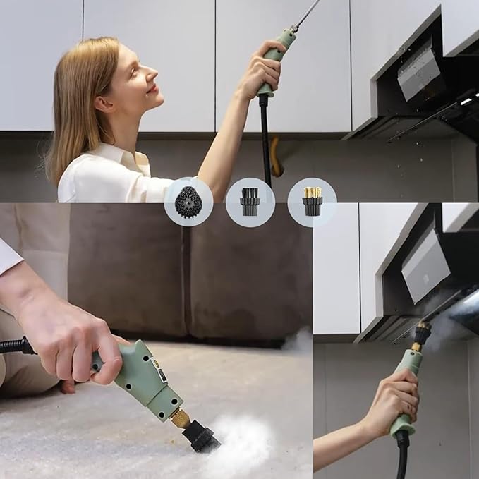 Steam Cleaner 2500W High Pressure Handheld Steamer High Temp 6 Speeds Handheld Steam Cleaner Steam Cleaning Machine with for Home Use Kitchen (US