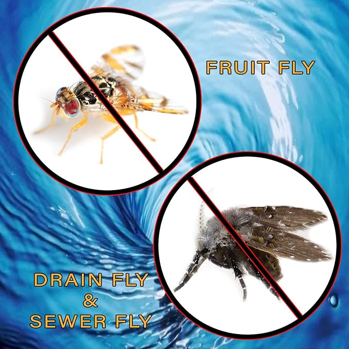 Fruit Fly &amp Drain Fly Killer - Simple Commercial Drain Gel Treatment - Eliminates Gross Fruit Flies Drain Flies Sewer Flies &amp Gnat Infestations from Any Drain Fast &amp Easy - 2.5 Gallon (3