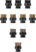 Dupray Small Brushes – Brass Horsehair Nylon &amp Stainless Steel Accessory Parts for Steam Cleaner – Brush Head for Cleaning Grout Tile Oven Car BBQ Kitchen and Bathroom (10) (Assorted Brushe
