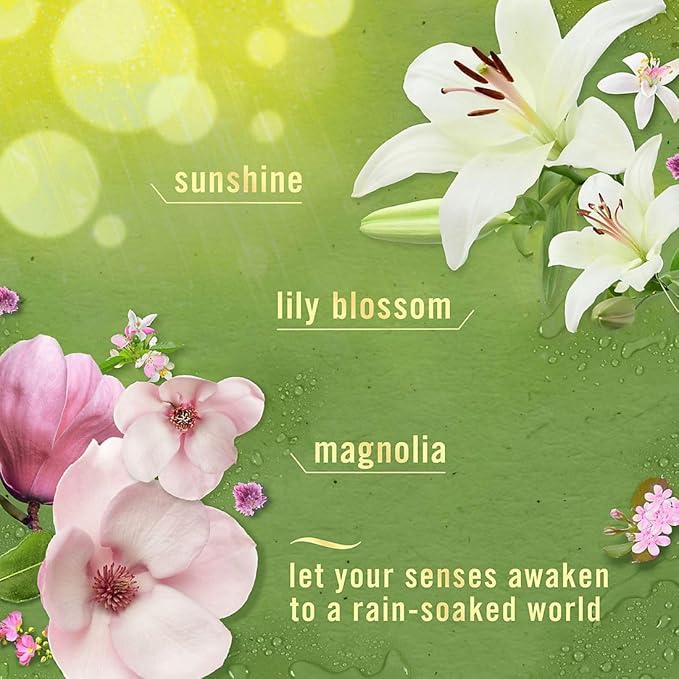 Air Mist Spray 4-Pack Summer Berry Apple Mango Ocean Breeze Morning Spring Scents Air Freshener