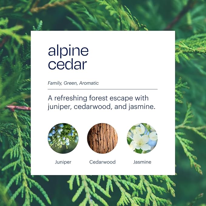 Aera True Loves Alpine Cedar - Deodorizing Home Fragrance Scent Refill for Pet Odor - Notes of Juniper Cedarwood &amp Jasmine - 25mL - For Use With Aera Diffuser (Sold Separately)