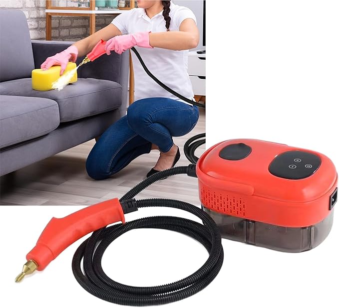 AYNEFY Steam Cleaner Disinfection Machine Small Machine High Pressure High Temperature for Kitchen Oil Air Conditioner Handheld Steamers (US Plug 110V)