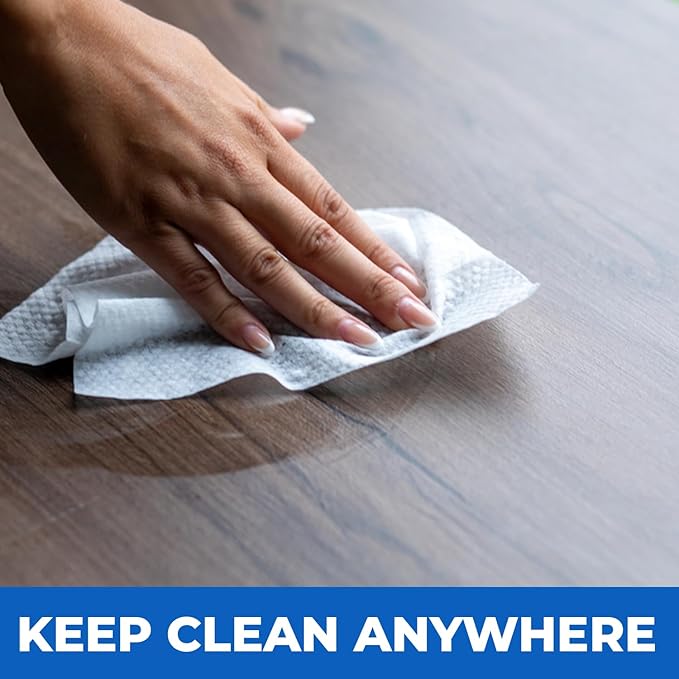 Travel Cleaning Supplies Kit - Travel Size Cleaning Supplies For Hotels Bathrooms with Gloves Surface Wipe Fabric Cleaner Air Cleaner Hand Wipes Bed Bug Wipes